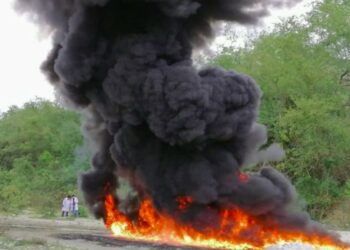 Autoridades destruyen incautación de droga valorada en $395,794.63