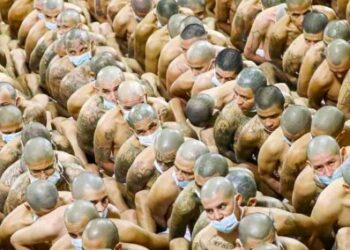 Ascienden a 54,518 las capturas efectuadas bajo el régimen de excepción