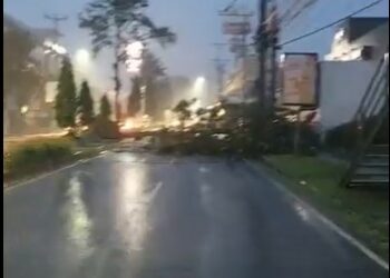 Reportan árbol caído sobre el bulevar Santa Elena, en Antiguo Cuscatlán