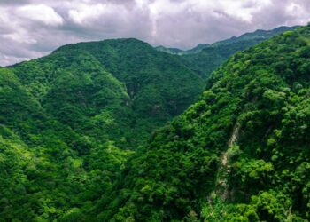 Medio Ambiente lanza plan piloto para restaurar la subcuenca del río Tamulasco en Chalatenango