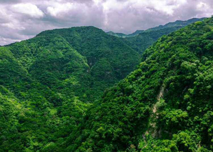 Medio Ambiente lanza plan piloto para restaurar la subcuenca del río Tamulasco en Chalatenango
