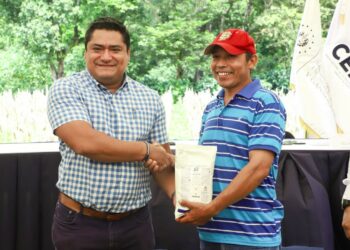 Más 32,000 manzanas serán intervenidas con fungicidas para la prevención y control de enfermedades de frijol