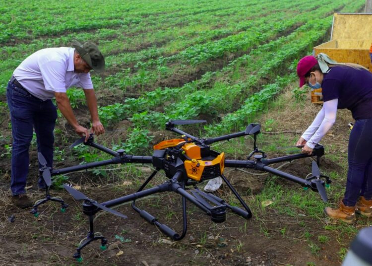 MAG supervisa la aplicación de fungicidas con uso de agrodrones en Zapotitán