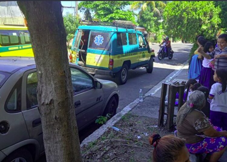 VIDEO | Docentes y estudiantes fueron evacuados por enjambre de abejas africanizadas en Soyapango