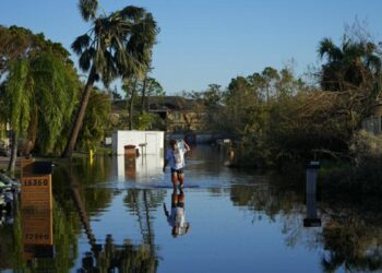 Récord de muertes en Florida por Vibrio vulnificus, la bacteria que se «come la carne», tras el huracán Ian