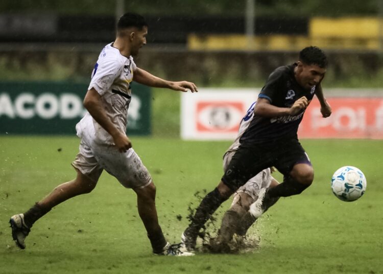 Alacranes se acerca a los cuartos de final de la LNF