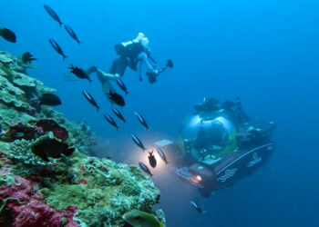 Hallan en la zona de las Maldivas un ‘oasis’ repleto de vida marina a gran profundidad