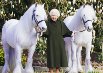 Carlos III pone a la venta los caballos de la reina Isabel II y le llueven críticas