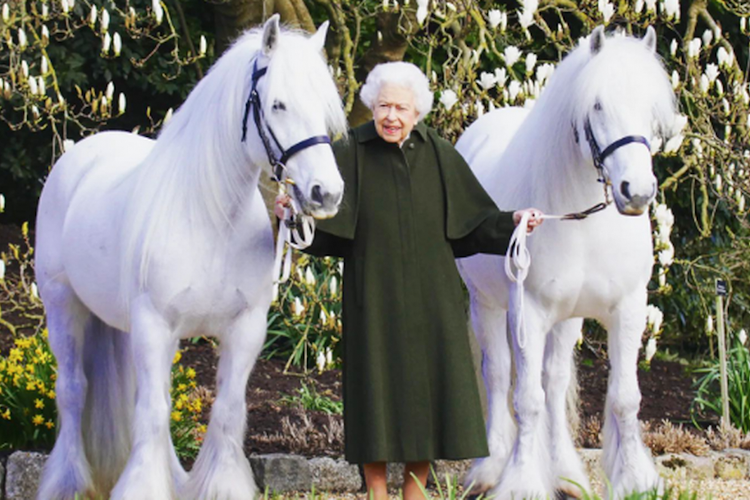 Carlos III pone a la venta los caballos de la reina Isabel II y le llueven críticas