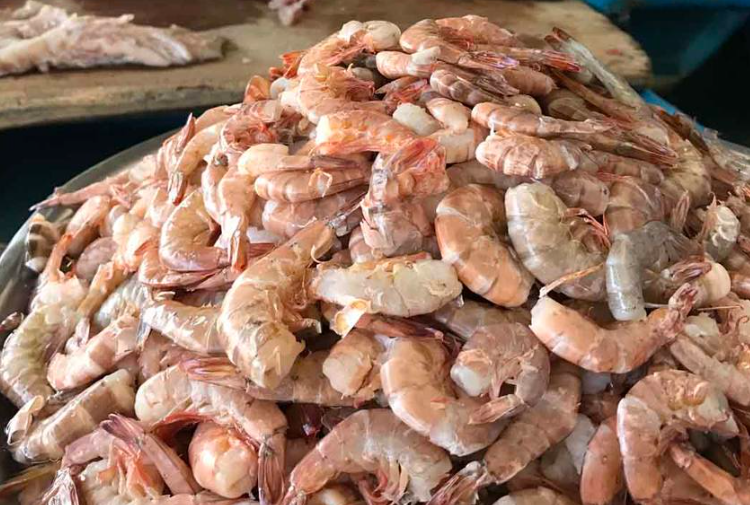 MAG anuncia veda nacional de camarón