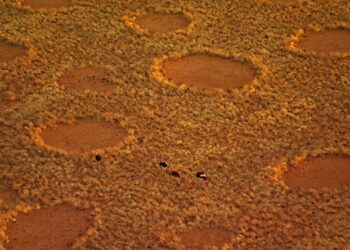 (VIDEO) ¿Los extraterrestres existen? Encuentran raros «mensajes» en desiertos de África