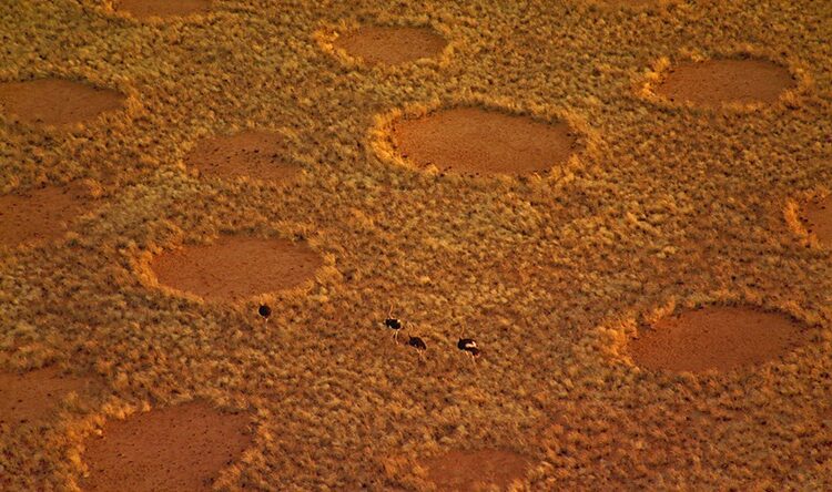 (VIDEO) ¿Los extraterrestres existen? Encuentran raros «mensajes» en desiertos de África