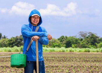 MAG inaugura proyecto de Cultivo de Maíz de Alto Rendimiento