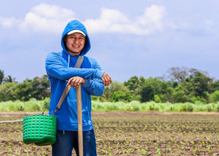 MAG inaugura proyecto de Cultivo de Maíz de Alto Rendimiento