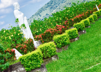 Antes de adquirir un servicio funerario, consulte el informe de la Defensoría del Consumidor