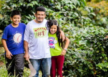 Ministerio de Agricultura beneficiará a pequeños cafetaleros con más de $1.5 millones