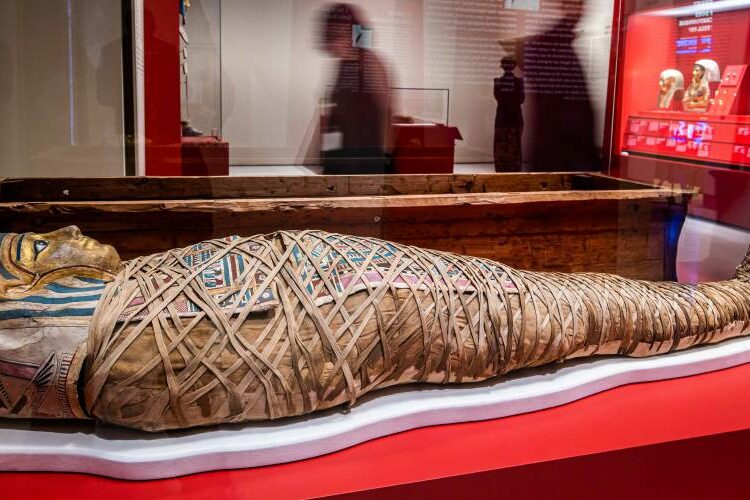 Científicos británicos aseguran que la momificación en el Antiguo Egipto no se hacía para conservar los cuerpos
