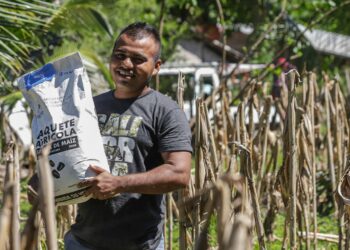 Agricultores que perdieron cultivos de maíz por tormenta Julia reciben ayuda para sembrar y recuperar lo perdido