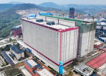 Una súper granja porcina de 26 plantas podrá sacrificar más de un millón de cerdos al año en China