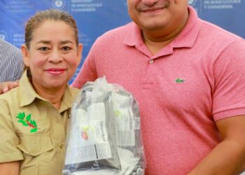 MAG continúa trabajando en reponer la producción nacional perdida por el paso de la tormenta Julia