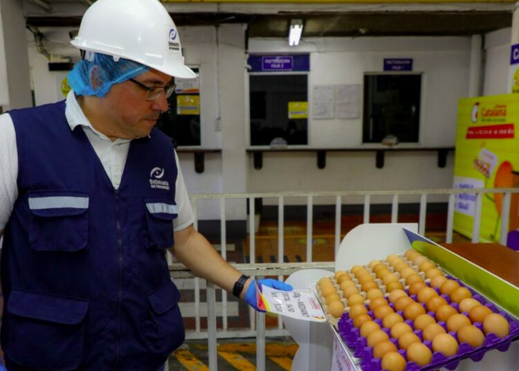 Defensoría inspecciona rubro avícola para descartar incrementos injustificados de precios