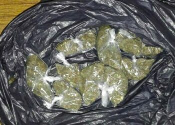 10 años de prisión para hombre que traficaba marihuana en San Salvador