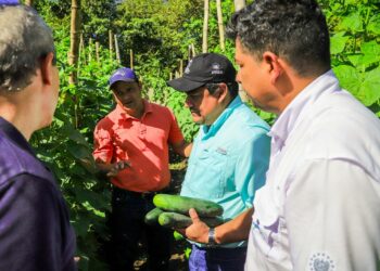  Agricultura descarta daños a cultivos en municipios afectados por actividad del volcán Chaparrastique