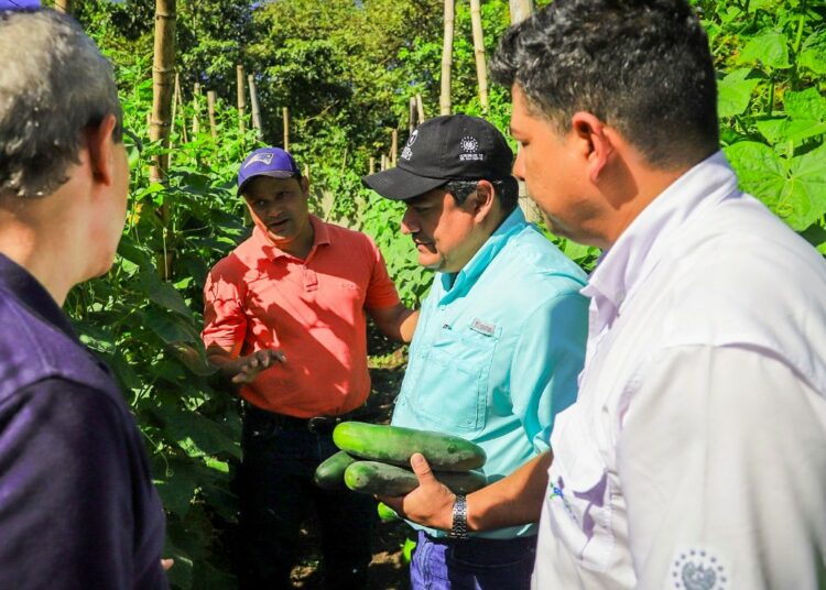  Agricultura descarta daños a cultivos en municipios afectados por actividad del volcán Chaparrastique