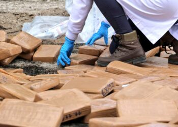 Gobierno del Presidente Bukele ha decomisado más de $365 millones solo de cocaína 