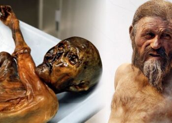 Proponen una teoría alternativa de la muerte de Ötzi, el famoso ‘hombre de hielo’ de los Alpes