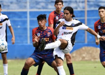 El puma se hizo respetar en casa