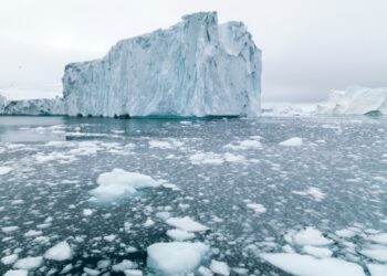 Descubren que hay vida microscópica debajo de los bloques de hielo de la Antártida
