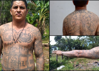Capturan en Sensuntepeque a pandillero que fue deportado de EE.UU.
