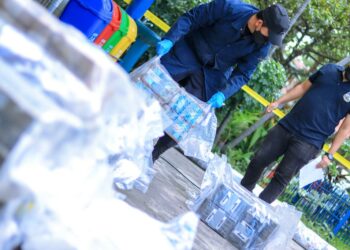 DAN destruye droga incautada en 21 casos de narcotráfico