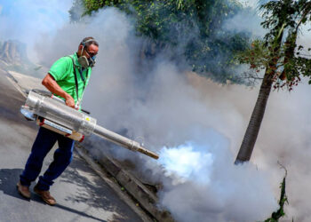 Las permanentes campañas de fumigación del Gobierno mantienen bajo control el dengue, zika y chikungunya
