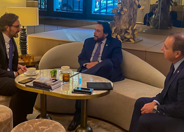 Vicepresidente Félix Ulloa se reúne con canciller de Argentina, en París