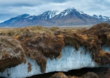 Resucitan un virus que permaneció en el permafrost siberiano 48.500 años