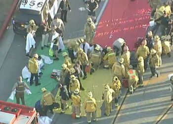 (VIDEO) 22 reclutas de policía fueron atropellados durante un entrenamiento en EE.UU., siete de ellos en estado crítico