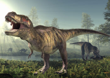 Los T-Rex pudieron ser un «70 % más grandes» de lo que indican los registros fósiles