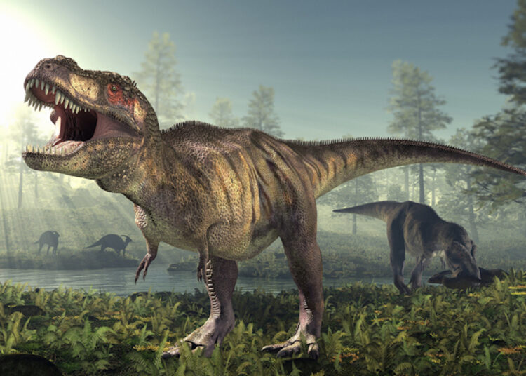 Los T-Rex pudieron ser un «70 % más grandes» de lo que indican los registros fósiles