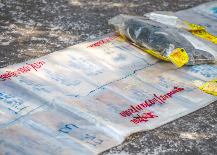 Destruyen cocaína, marihuana y metanfetaminas por un valor de más de $285 mil