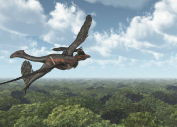 Científicos descubren por primera vez los restos de un mamífero devorado por un dinosaurio