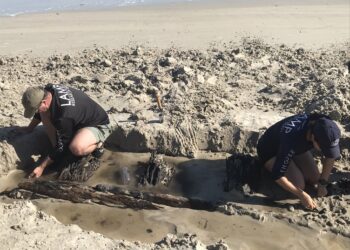 Hallan en EE.UU. un barco de madera del siglo XIX tras el paso de los últimos huracanes