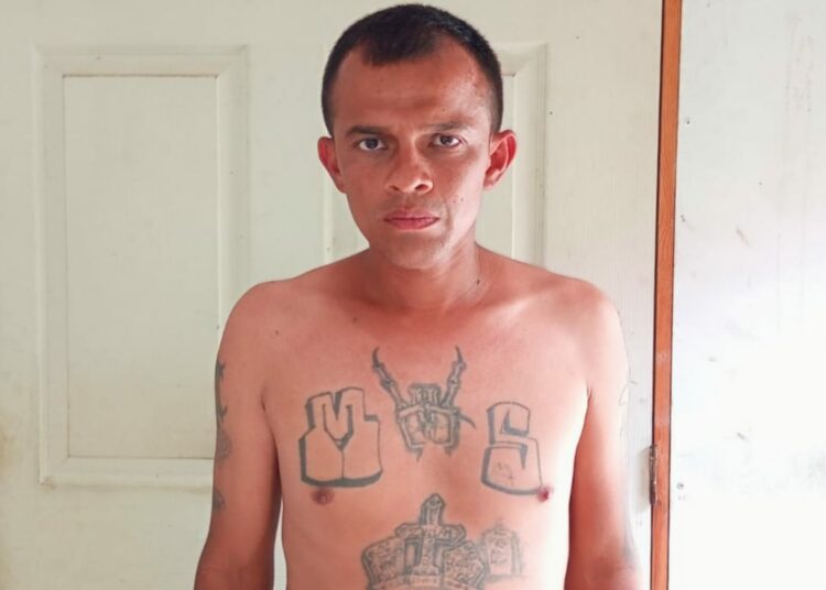 Capturan a pandillero que delinquía en San Miguel