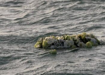 Bebé de dos meses muere en naufragio de migrantes en Grecia