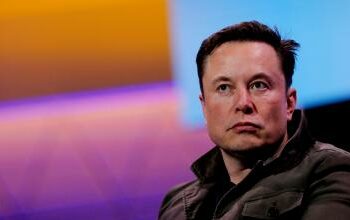 Abren una investigación contra la empresa Neuralink de Musk tras sacrificar unos 1.500 animales