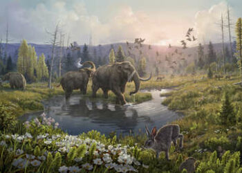 El ADN más antiguo conocido revela cómo era la vida en Groenlandia hace 2 millones de años