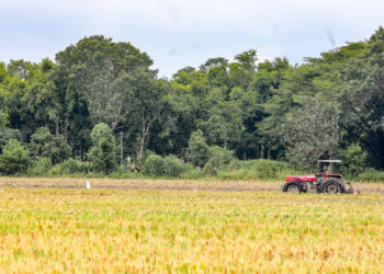Productores afectados por tormenta Julia siguen siendo apoyados por el Gobierno para recuperarse