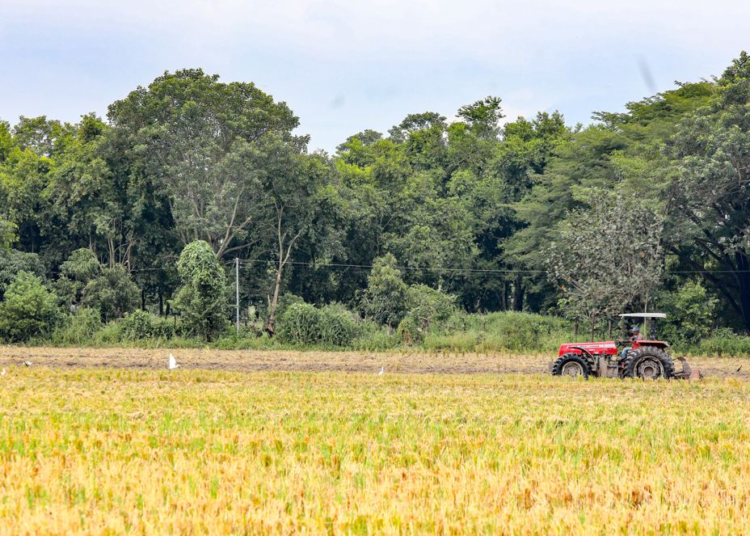 Productores afectados por tormenta Julia siguen siendo apoyados por el Gobierno para recuperarse