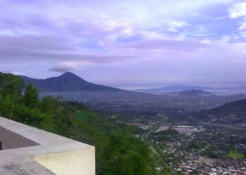 Pronostican aumento de viento, el Gobierno llama a tener precaución por el riesgo de caídas de árboles o ramas